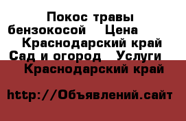 Покос травы бензокосой  › Цена ­ 100 - Краснодарский край Сад и огород » Услуги   . Краснодарский край